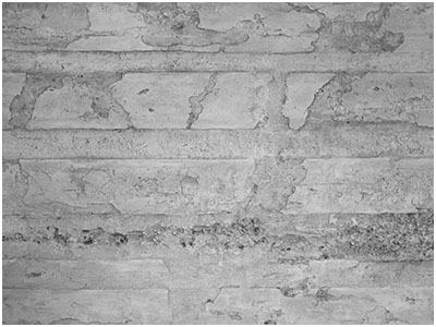 EvoStone Taş Panel Duvar Kaplama