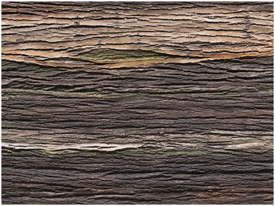 EvoStone Panel Wall Cladding